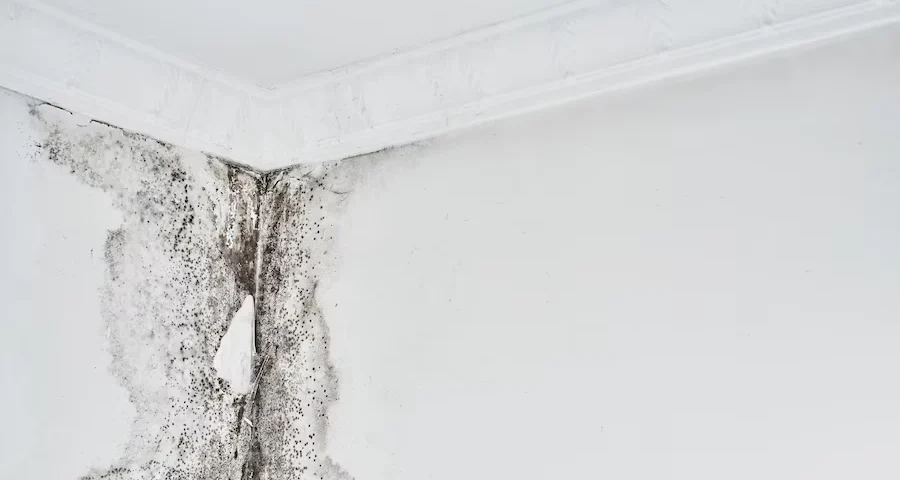 Advogado para defesa do consumidor que comprou imóvel e após alguns anos o imóvel apresentou vício oculto.